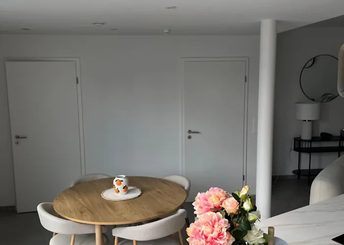 Lumineux Avec Terrasse Au Coeur De Apartman *