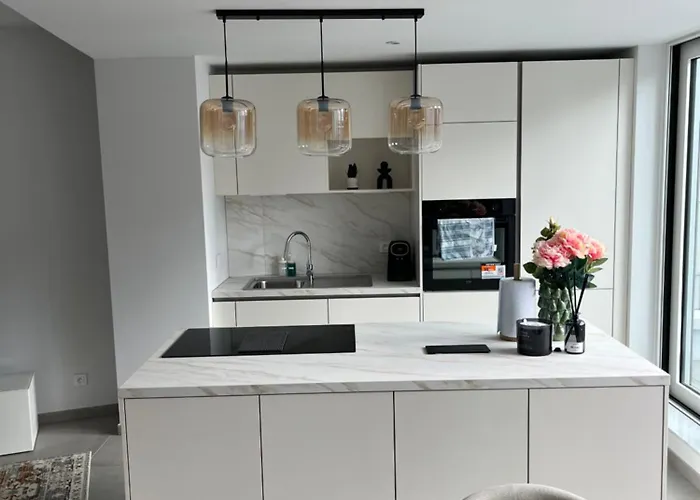 Lumineux Avec Terrasse Au Coeur De Apartman